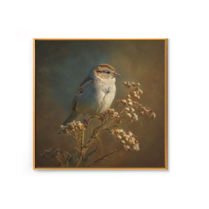 Small Sparrow on Wildflower Stem Canvas Print, Bird Art, Mid Century Wall Art, Living Room Decor, Flight, Fine Art Print, BIR-1x1-14