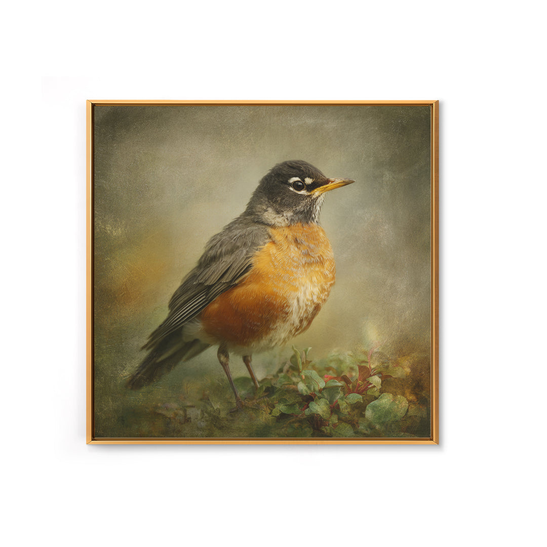 Robin in a Spring Garden with Soft Canvas Print, Bird Art, Japanese Wall Art, Living Room Decor, Watercolor Art, Flight, BIR-1x1-15