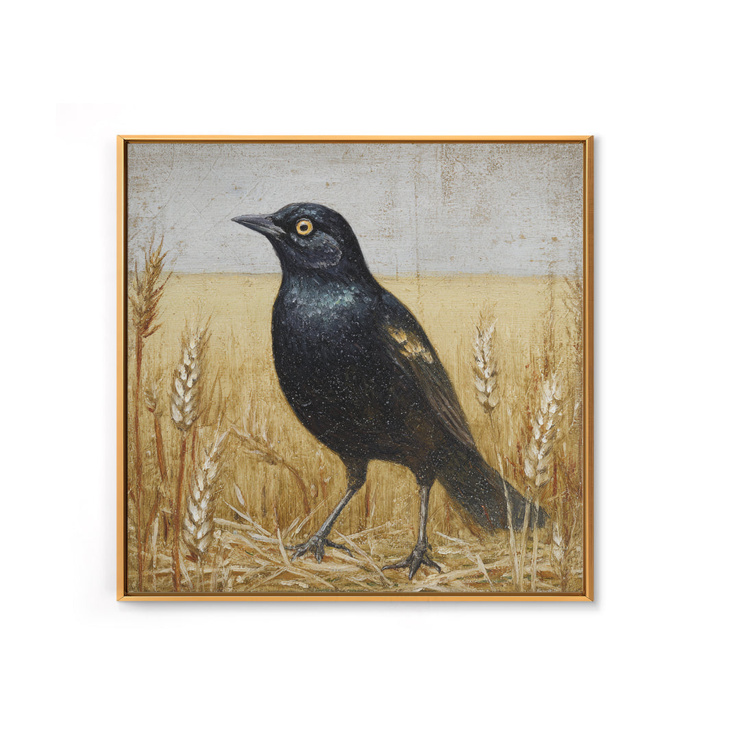 Blackbird on Gold Wheat Field Framed Canvas Print, Bird Art, Nature Prints, Living Room Decor, Watercolor Art, Flight, BIR-1x1-24