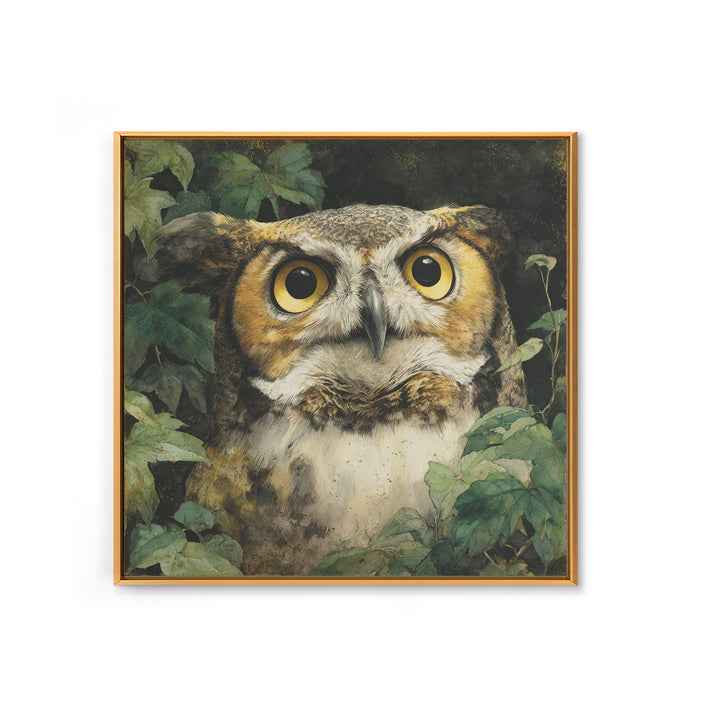 Owl Portrait with Wise Golden Eyes Framed Canvas Print, Bird Art, Fine Art Print, Living Room Decor, Fine Art, Flight, BIR-1x1-29
