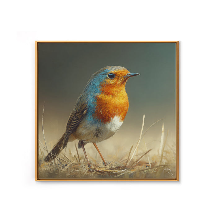 Robin in a Spring Garden with Soft Framed Canvas Print, Bird Art, Gallery Wall, Living Room Decor, Flight, Gallery Decor, BIR-1x1-39