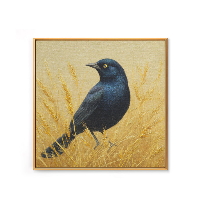 Blackbird on Gold Wheat Field Framed Canvas Print, Bird Art, Wall Decor, Living Room Decor, Fine Art, Flight, Boho Wall Decor, BIR-1x1-48