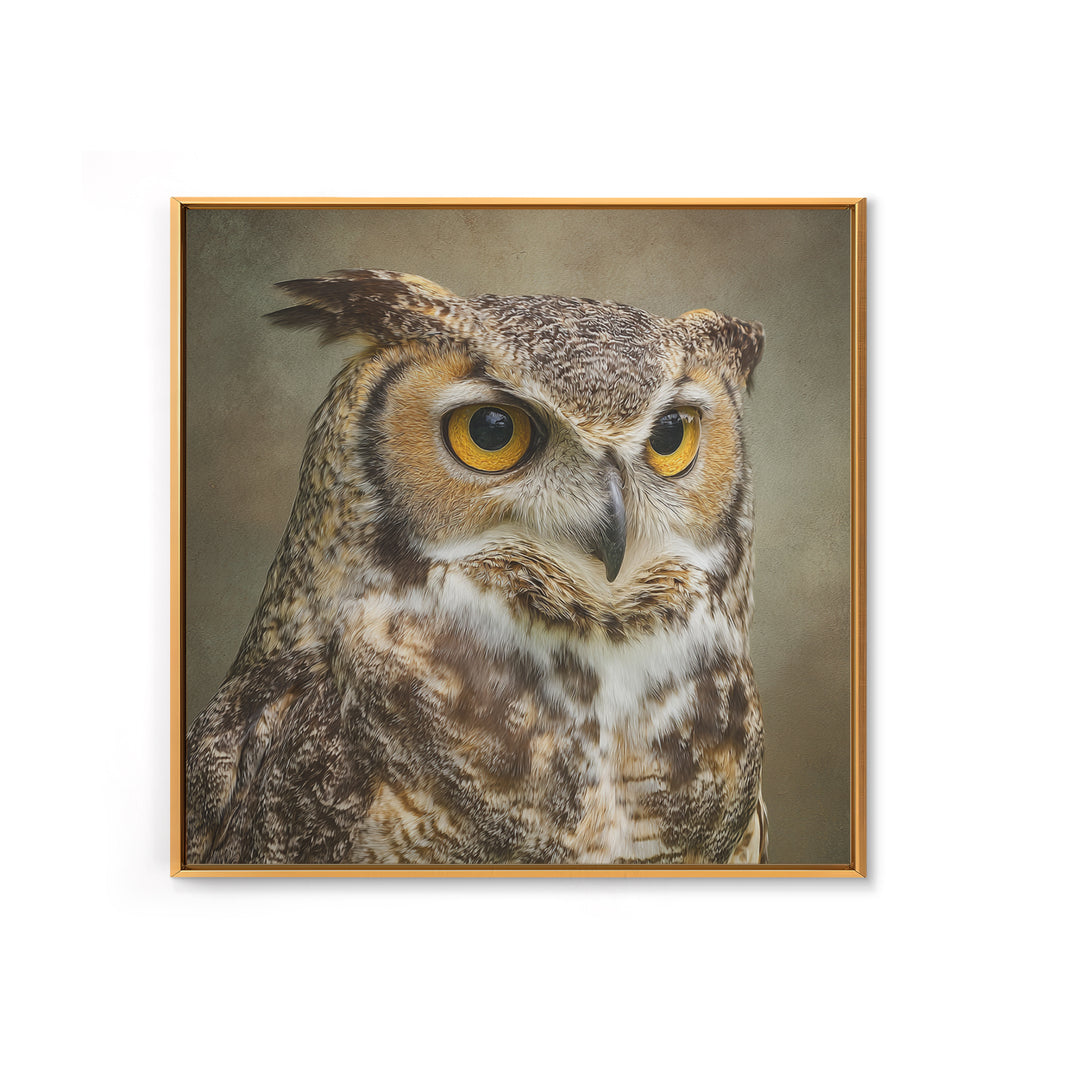 Owl Portrait with Wise Golden Eyes Framed Canvas Print, Bird Art, Fine Art Print, Living Room Decor, Fine Art, Flight, BIR-1x1-53