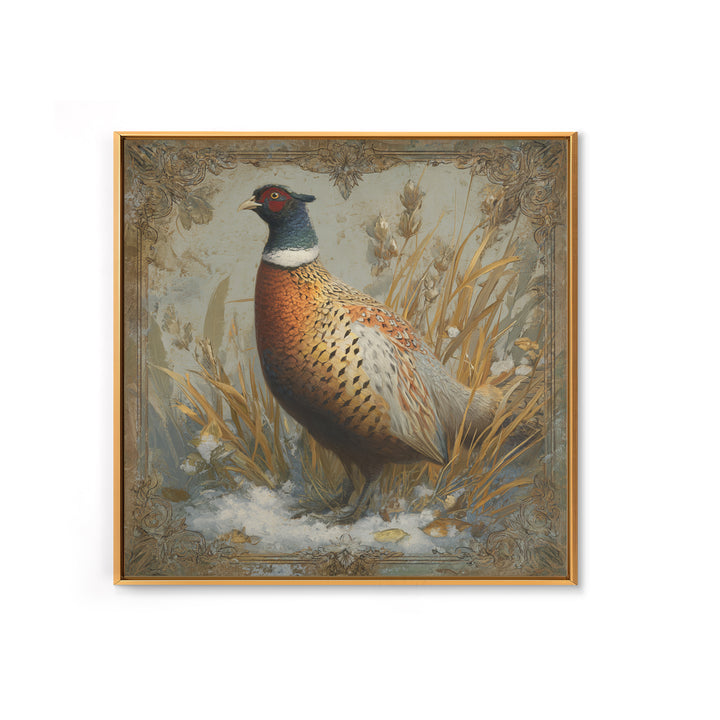 Pheasant with Ornate Feather Details Framed Canvas Print, Bird Art, Gallery Decor, Living Room Decor, Fine Art, Flight, BIR-1x1-67