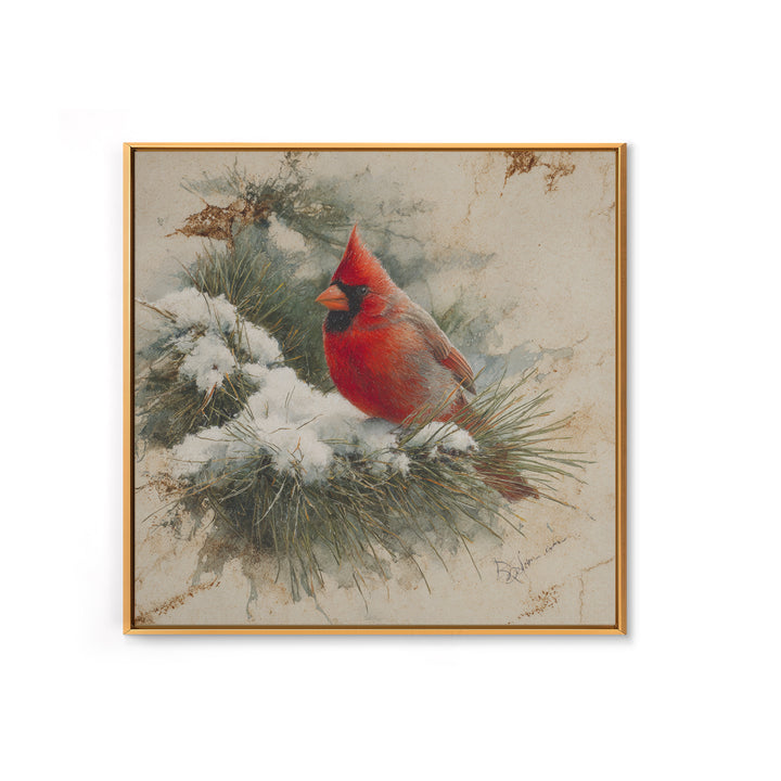 Red Cardinal on Snowy Pine Branch Framed Canvas Print, Bird Art, Art Print, Living Room Decor, Fine Art, Flight, Original Art, BIR-1x1-73