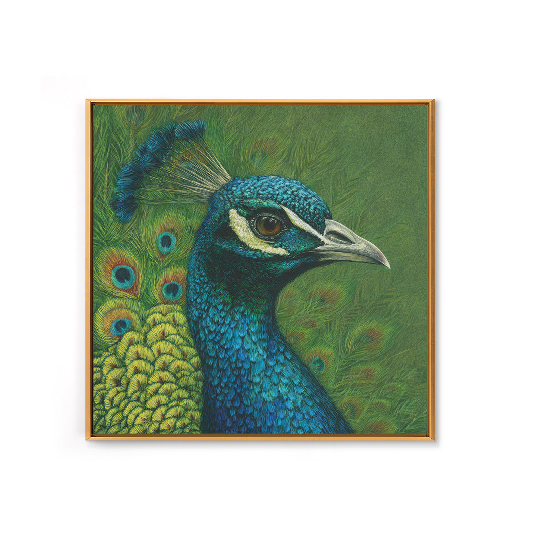 Peacock with Jewel Tone Feather Pattern Framed Canvas Print, Bird Art, Fine Art Print, Living Room Decor, Oil Painting, Flight, BIR-1x1-79