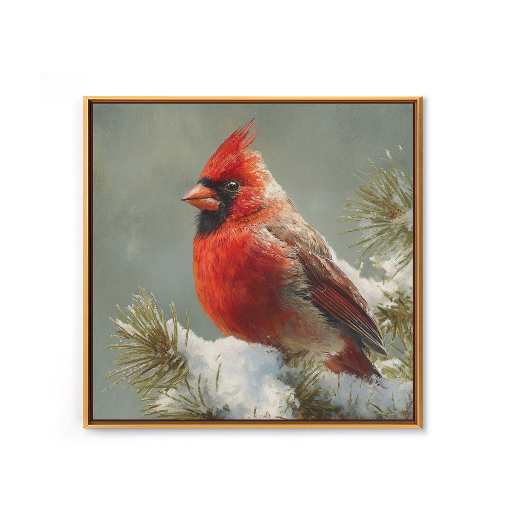 Red Cardinal on Snowy Pine Branch Canvas Print, Bird Art, Wall Art, Living Room Decor, Fine Art, Flight, Japanese Wall Art, BIR-1x1-97