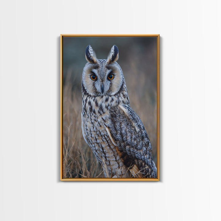 Owl Portrait with Wise Golden Eyes Framed Canvas Print, Bird Art, Digital Prints, Living Room Decor, Fine Art, Flight, BIR-2x3-37