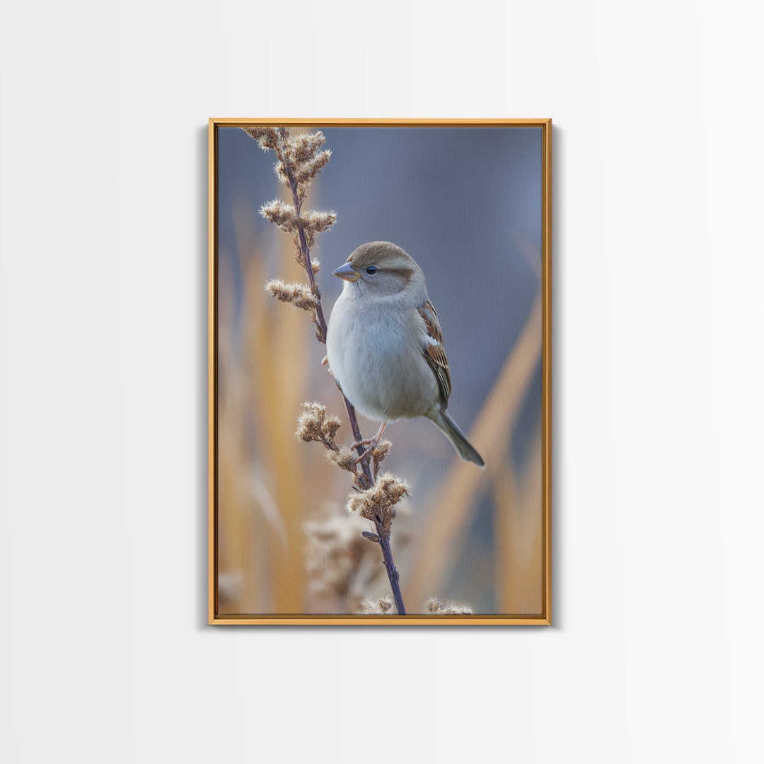 Small Sparrow on Wildflower Stem Framed Canvas Print, Bird Art, Textured Painting, Living Room Decor, Fine Art, Flight, BIR-2x3-46
