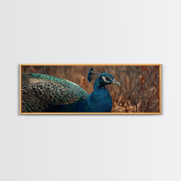 Peacock with Jewel Tone Feather Pattern Canvas Print, Bird Art, Printable Art, Living Room Decor, Flight, Mid Century Wall Art, BIR-3x1-71