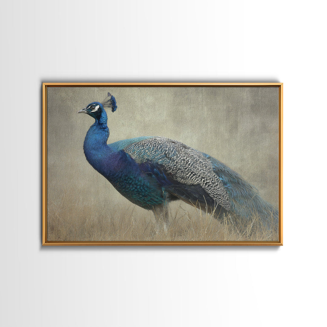 Peacock with Jewel Tone Feather Pattern Framed Canvas Print, Bird Art, Art Print, Living Room Decor, Oil Painting, Flight, BIR-3x2-59
