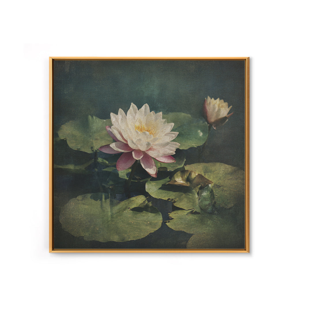 Lotus Flower and Lily Pads on Still Canvas Print, Botanical Art, Framed Wall Art, Living Room Decor, Fine Art, Botanic, BOT-1x1-19