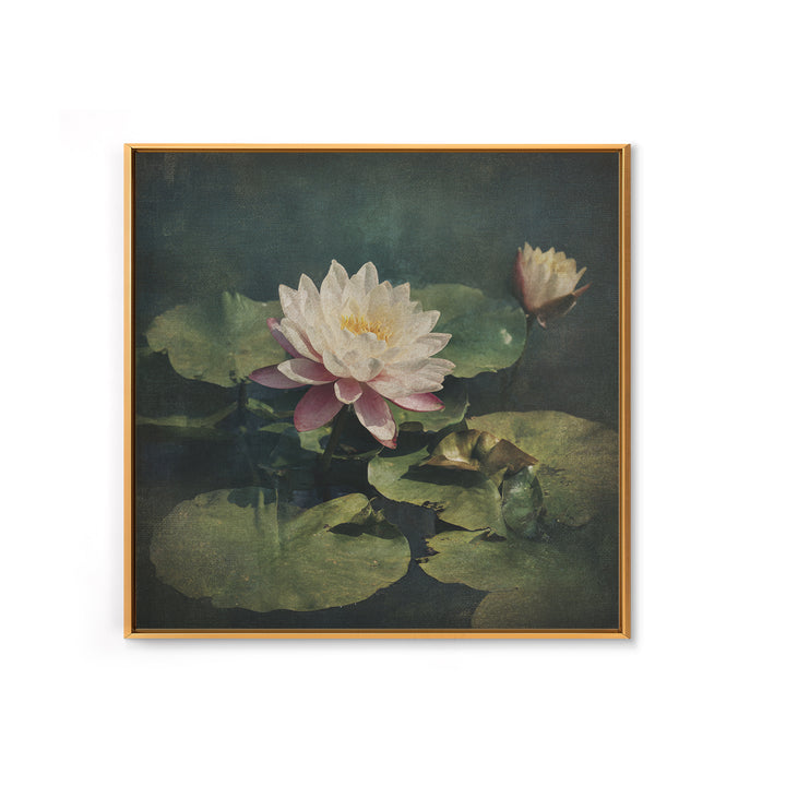 Lotus Flower and Lily Pads on Still Canvas Print, Botanical Art, Framed Wall Art, Living Room Decor, Fine Art, Botanic, BOT-1x1-19