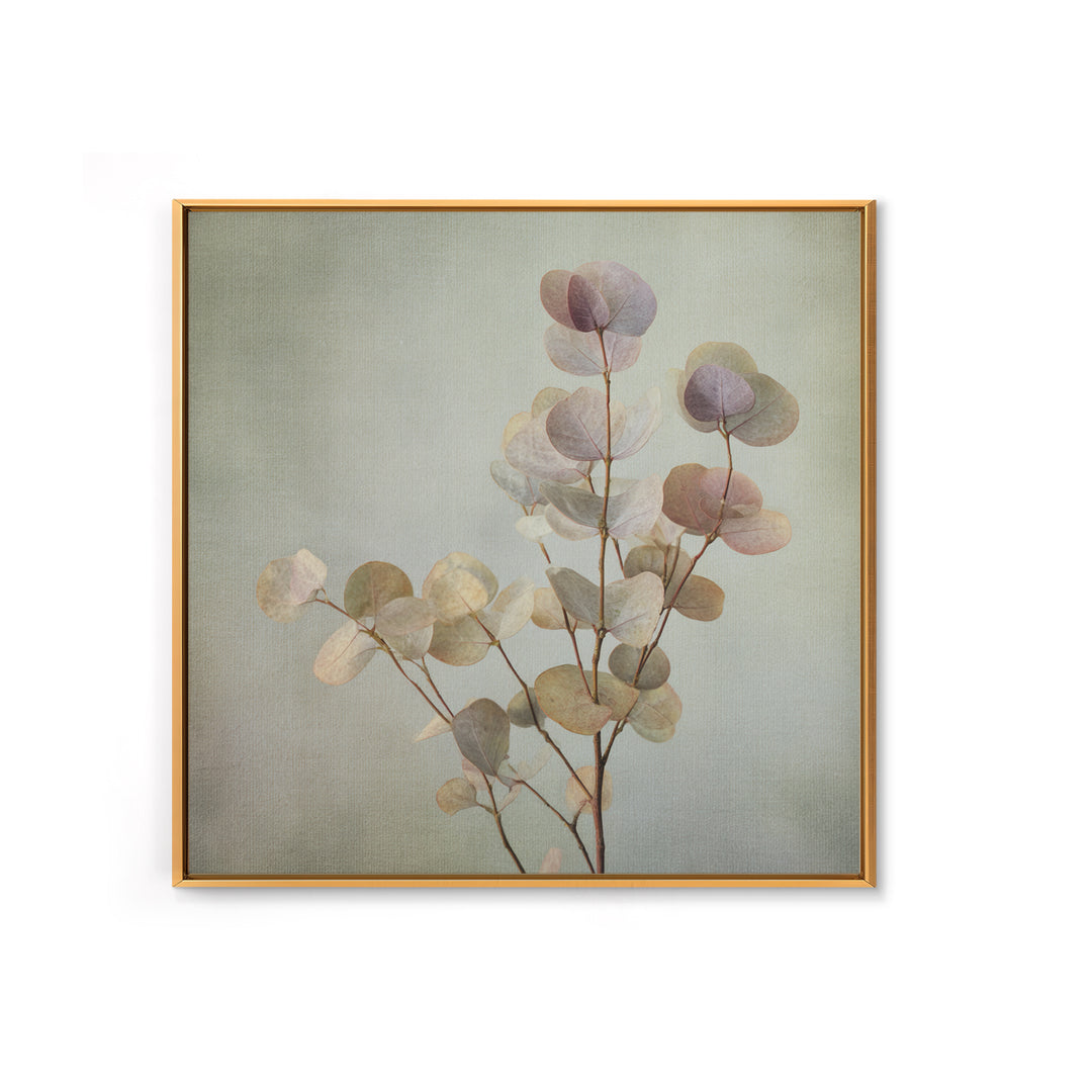 Eucalyptus Stems in Soft Sage Tones Canvas Print, Botanical Art, Gallery Decor, Living Room Decor, Fine Art, Botanic, BOT-1x1-59