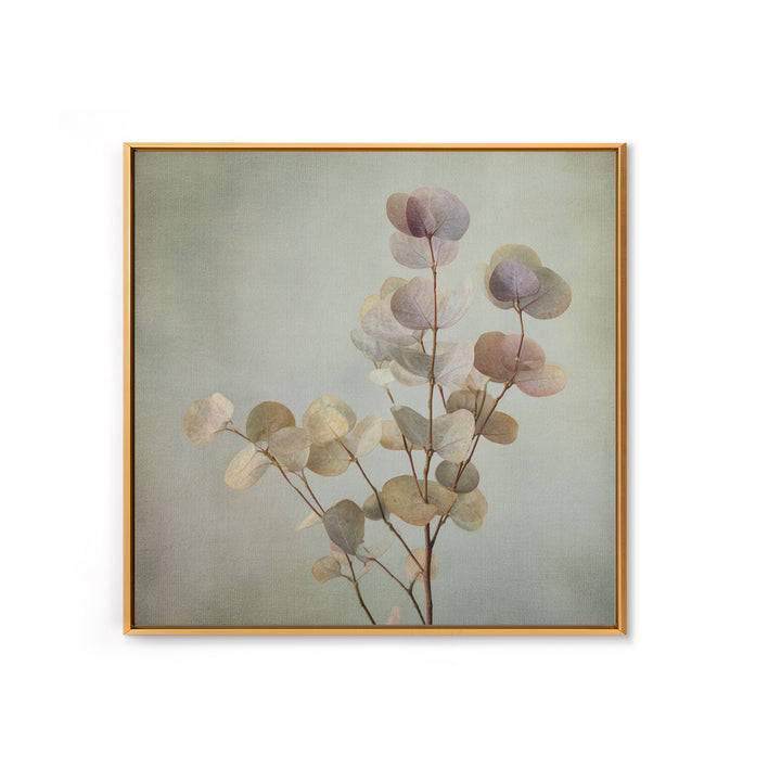 Eucalyptus Stems in Soft Sage Tones Canvas Print, Botanical Art, Gallery Decor, Living Room Decor, Fine Art, Botanic, BOT-1x1-59