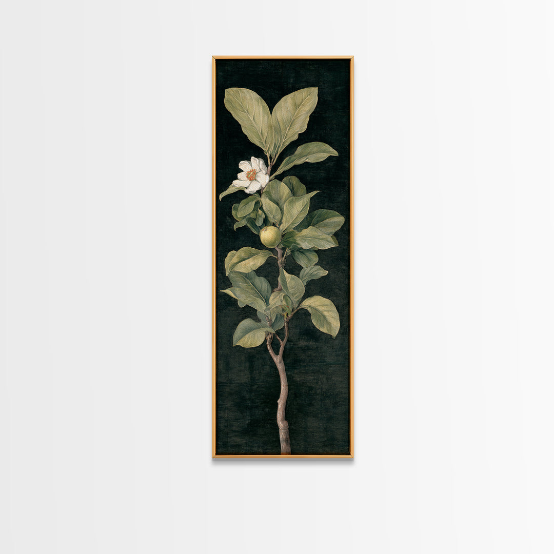 Fig Branch with Fruit and Broad Leaves Canvas Print, Botanical Art, Modern Wall Art, Living Room Decor, Fine Art, Botanic, BOT-1x3-51