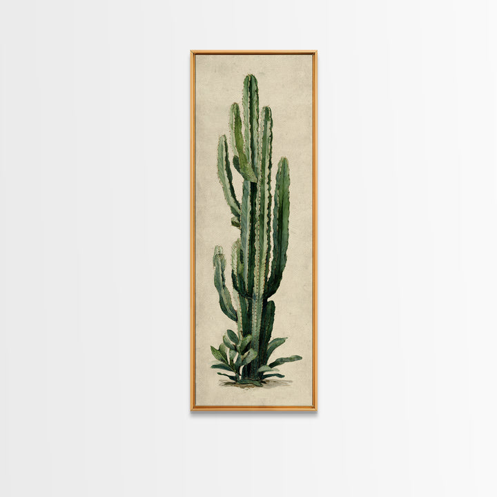 Cactus Botanical Plate Canvas Print, Botanical Art, Digital Wall Art, Living Room Decor, Oil Painting, Botanic, BOT-1x3-73