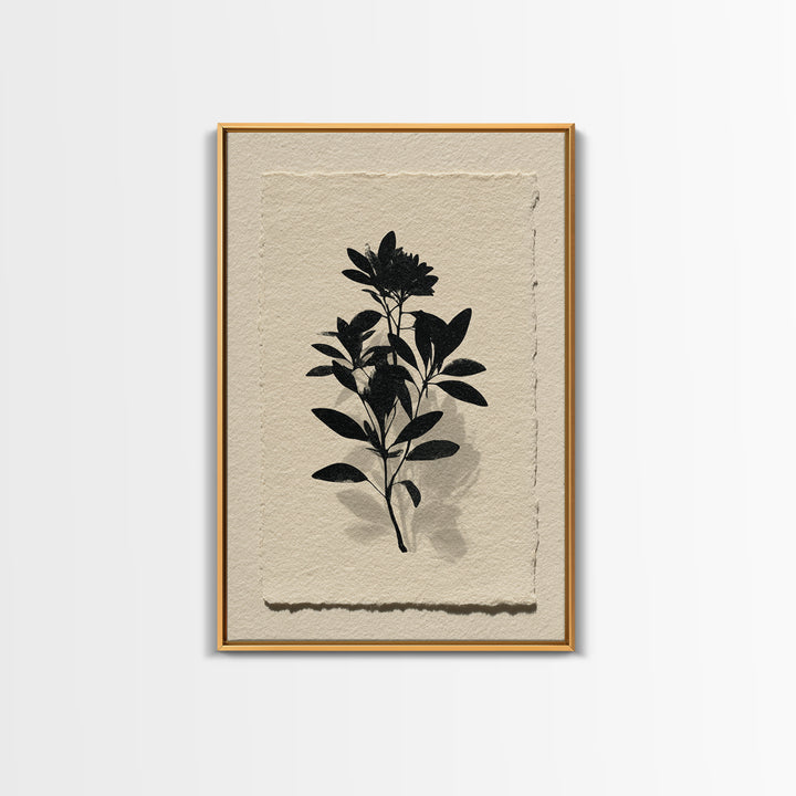 Black Ink Botanical Silhouette on Cream Paper Canvas Print, Botanical Art, Living Room Decor, Watercolor Art, Botanic, BOT-2x3-29