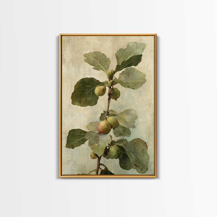 Fig Branch with Fruit and Broad Leaves Framed Canvas Print, Botanical Art, Oil Painting, Living Room Decor, Fine Art, Botanic, BOT-2x3-47