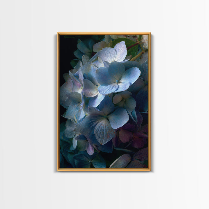 Blue Hydrangea Cluster Framed Canvas Print, Botanical Art, Wall Art Prints, Living Room Decor, Watercolor Art, Botanic, BOT-2x3-98