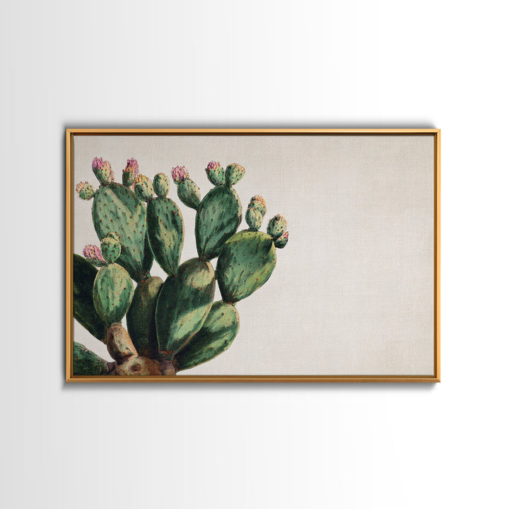Cactus Botanical Plate Framed Canvas Print, Botanical Art, Living Room Wall Art, Living Room Decor, Fine Art, Botanic, BOT-3x2-65