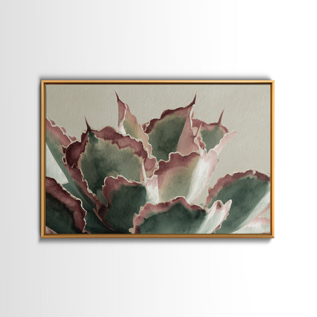 Cactus Botanical Plate Canvas Print, Botanical Art, Boho Decor, Living Room Decor, Fine Art, Botanic, Art Print, Digital Art, BOT-3x2-89