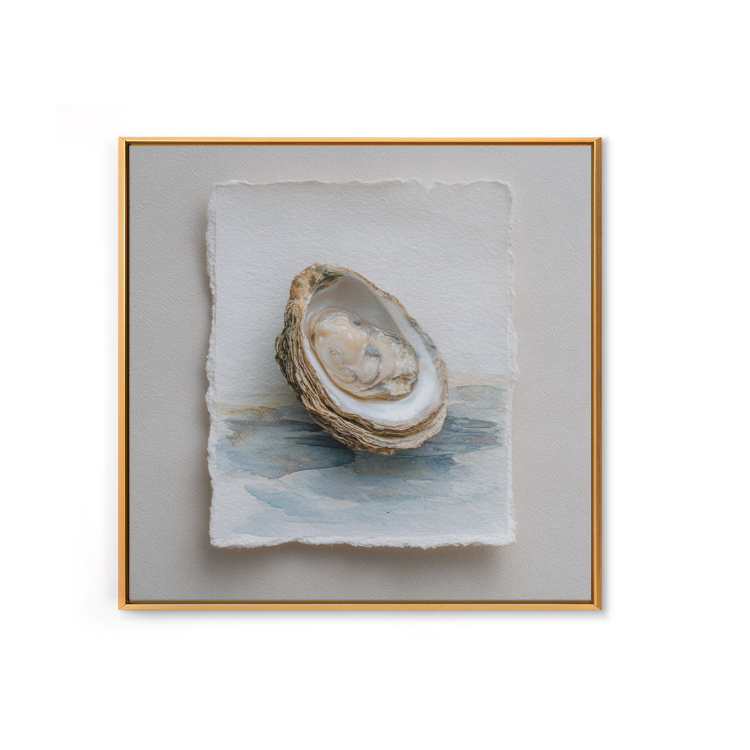 Oyster Shell Study Framed Canvas Print, Coastal Art, Beach Art, Coastal Decor, Oil Painting, Coastal, Room Decor, COA-1x1-51