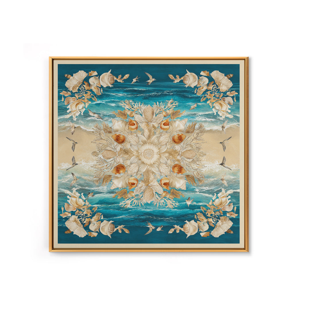 Shell and Coral Specimen Arrangement Framed Canvas Print, Coastal Art, Statement Artwork, Coastal Decor, Fine Art, Coastal, COA-1x1-83