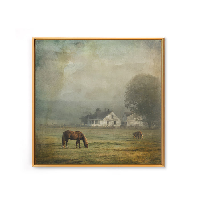 Rolling Pasture with Grazing Horses at Sunrise Framed Canvas Print, Country Art, Farmhouse Wall Art, Farmhouse Decor, Country, COU-1x1-1