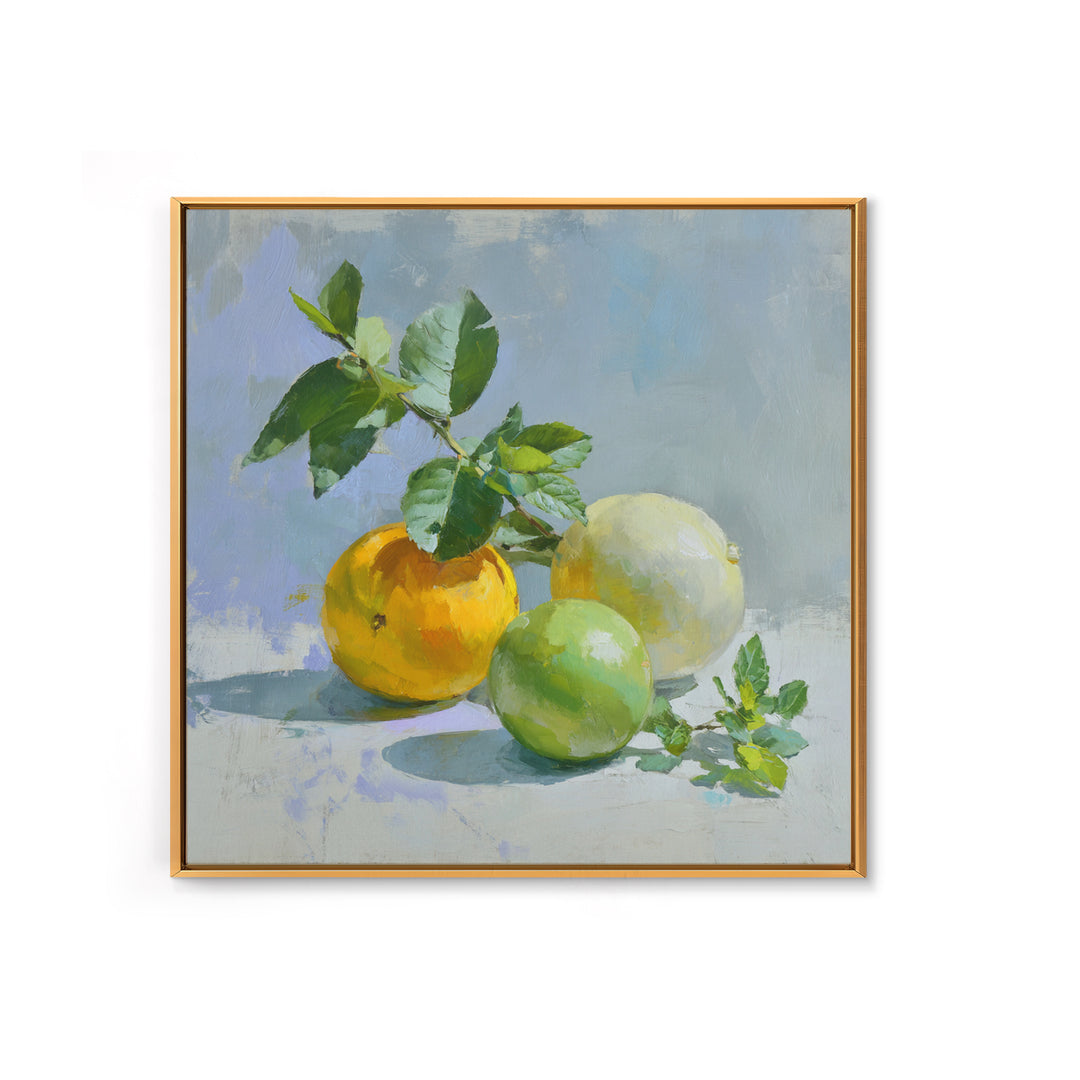 Fresh Citrus and Mint Still Life Canvas Print, Dental Office Art, Dental Office Decor, Office Decor, Calm, Science Art, DOA-1x1-31