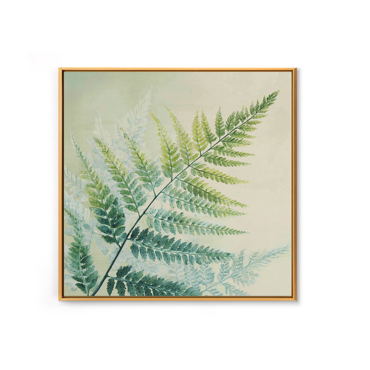 Botanical Fern Study Framed Canvas Print, Dental Office Art, Dental Hygiene, Office Decor, Fine Art, Calm, Medical Office Art, DOA-1x1-43