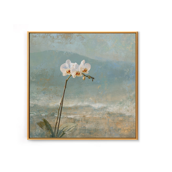 White Orchid on Stone Background Canvas Print, Dental Office Art, Dental Decor, Office Decor, Fine Art, Calm, Wall Decor, DOA-1x1-60