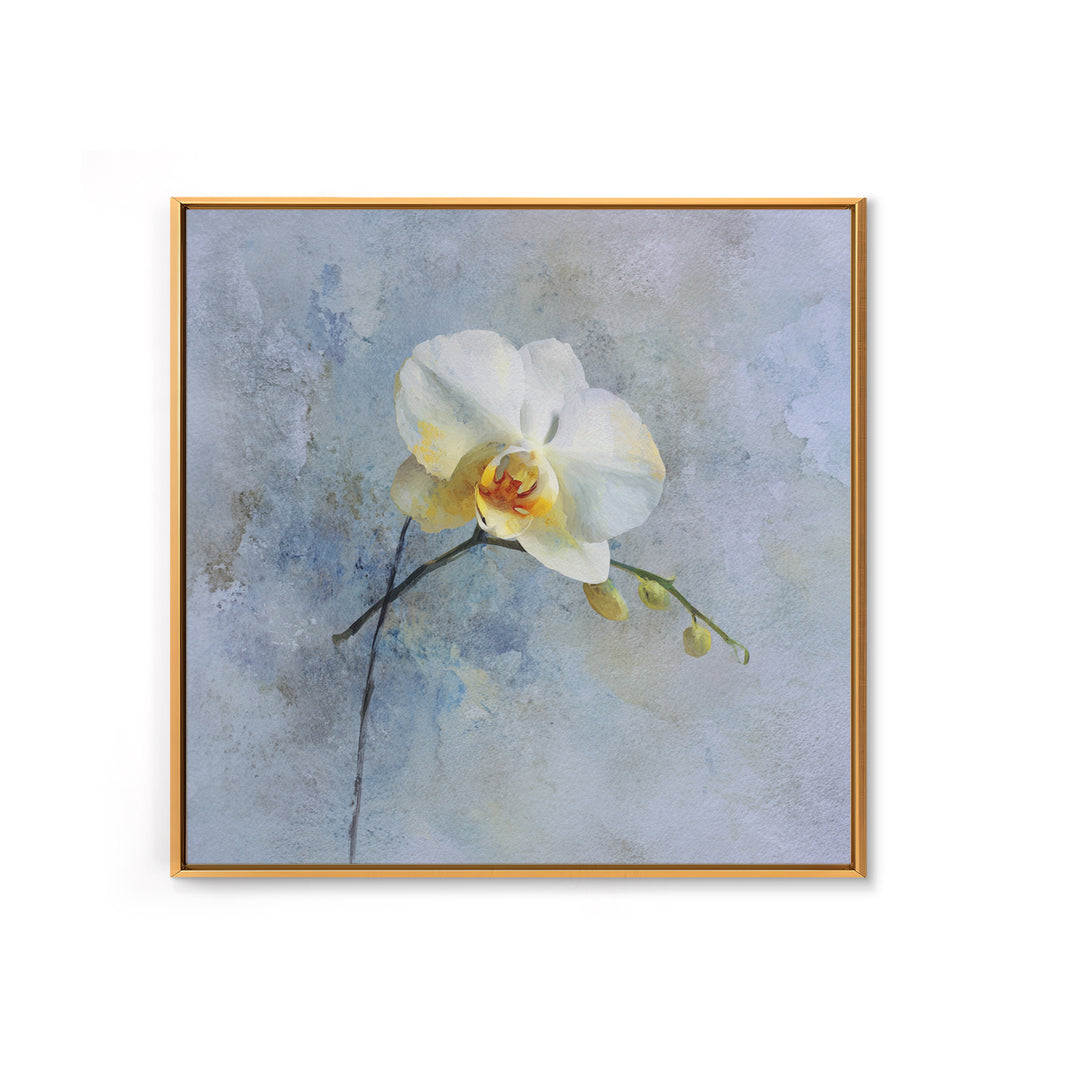 White Orchid on Stone Background Framed Canvas Print, Dental Office Art, Dental Gift, Office Decor, Abstract Art, Calm, DOA-1x1-84