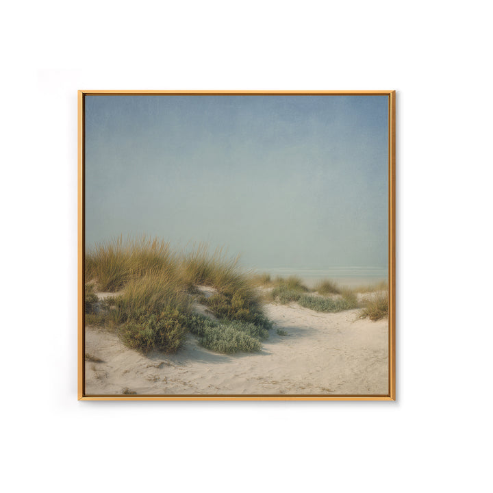 Quiet Coastal Dunes Canvas Print, Dental Office Art, Printable Digital, Office Decor, Calm, Neutral Decor, Modern Decor, DOA-1x1-94