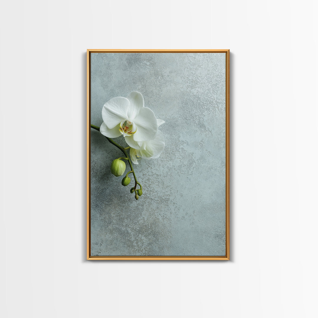 White Orchid on Stone Background Framed Canvas Print, Dental Office Art, Modern Decor, Office Decor, Fine Art, Calm, Poster, DOA-2x3-68