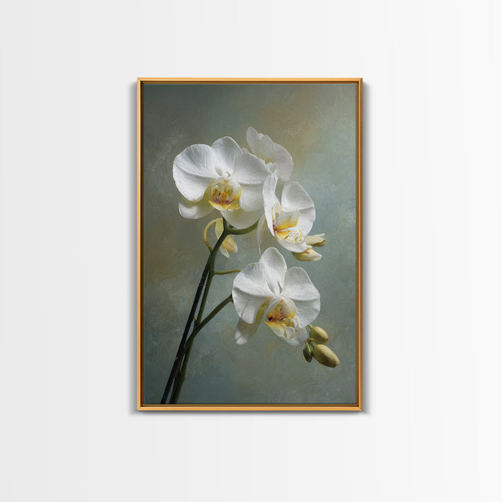 White Orchid on Stone Background Framed Canvas Print, Dental Office Art, Dental Wall Art, Office Decor, Abstract Art, Calm, DOA-2x3-92