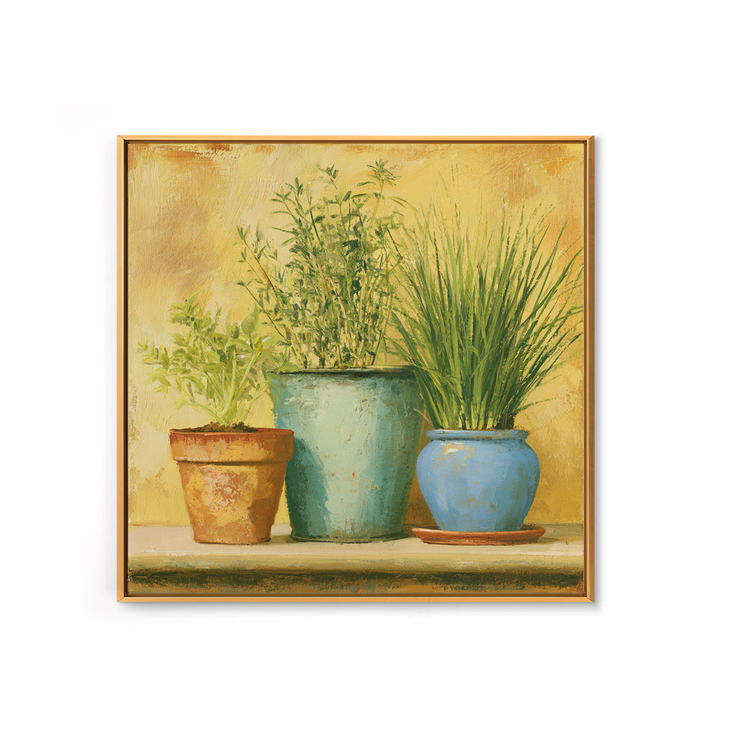 Modern Kitchen Herbs Canvas Print, Dining Room Art, Kitchen Wall Decor, Dining Room Decor, Fine Art, Dining, Statement Artwork, DRA-1x1-9