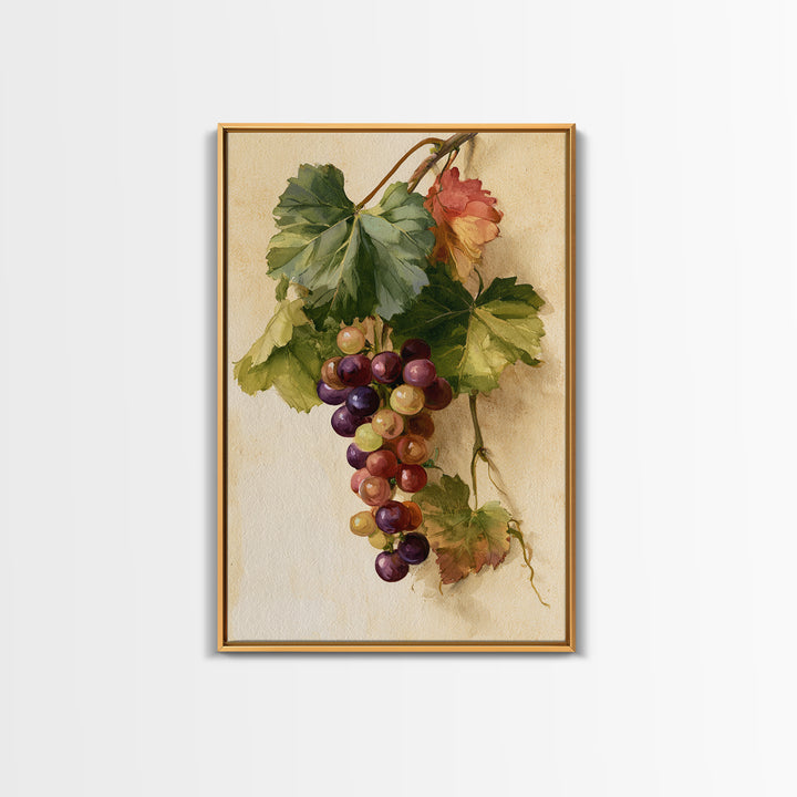 Botanical Grapevine with Leaves and Fruit Canvas Print, Dining Room Art, Large Wall Art, Dining Room Decor, Fine Art, Dining, DRA-2x3-77