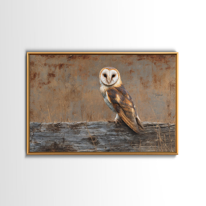 Barn Owl Perched on Aged Wood Framed Canvas Print, Farmhouse Art, Minimalist Decor, Farmhouse Decor, Fine Art, Harvest, FAR-3x2-99