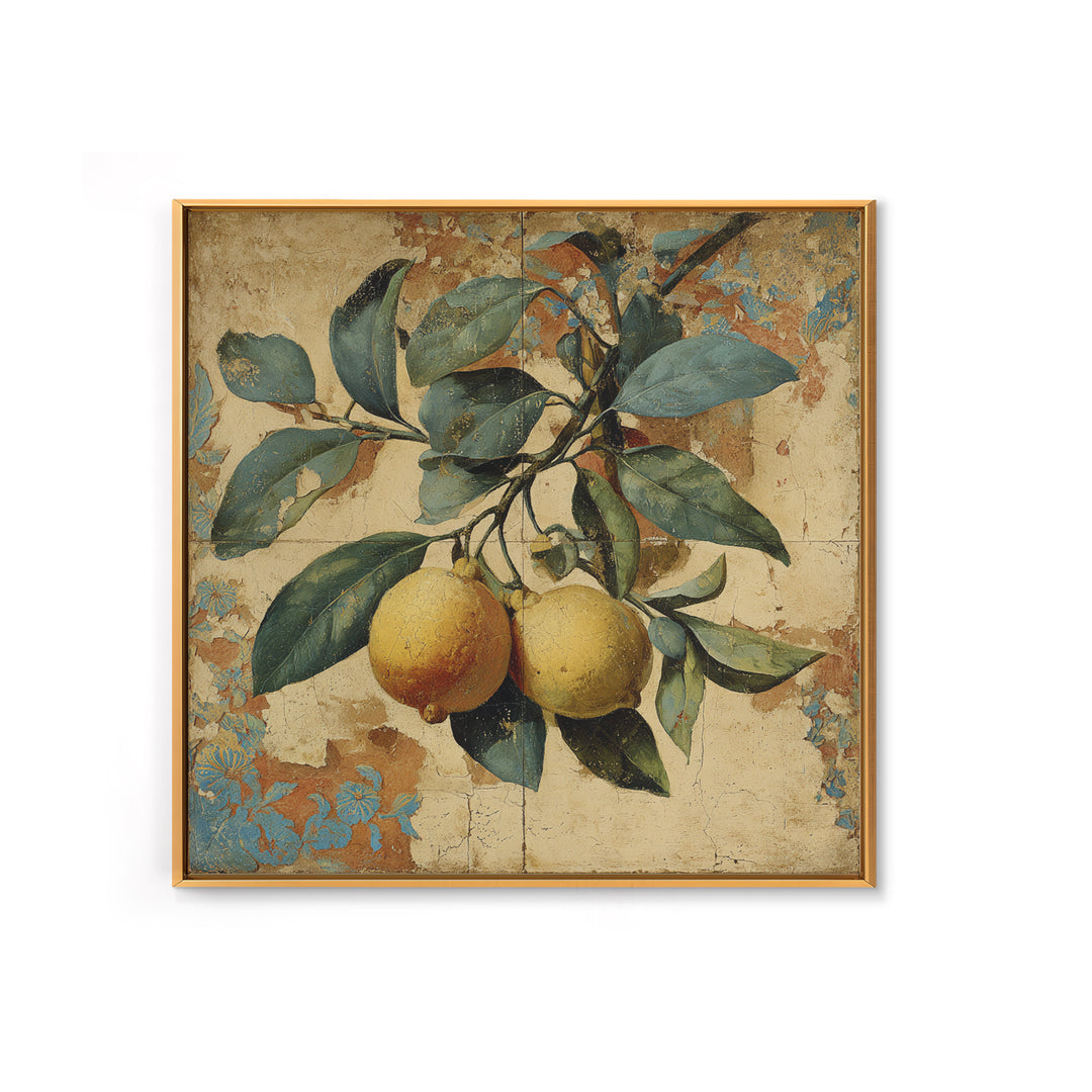 Aged Botanical Plate of Lemons and Leaves Canvas Print, French Country Art, Landscape Wall Art, Farmhouse Decor, Country, FCA-1x1-84