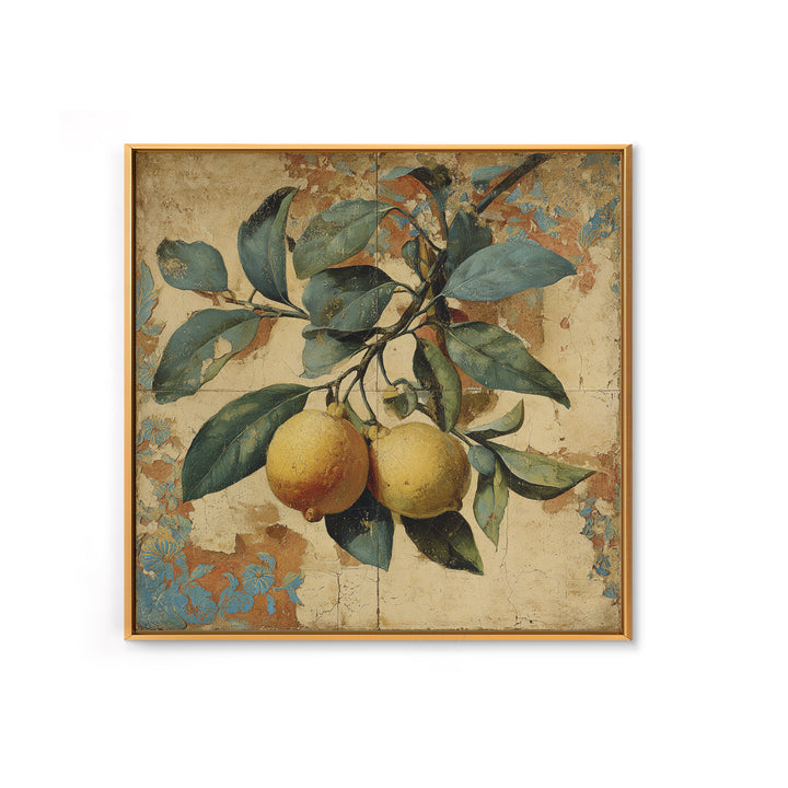 Aged Botanical Plate of Lemons and Leaves Canvas Print, French Country Art, Landscape Wall Art, Farmhouse Decor, Country, FCA-1x1-84