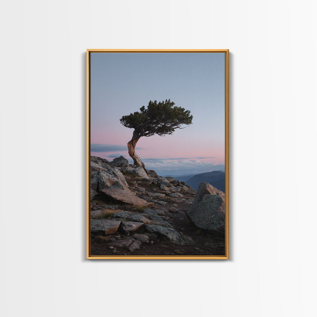 Mountain Trail Runner Framed Canvas Print, Fitness Studio Art, Gym Wall Art, Gym Decor, Fine Art, Motion, Luxury Decor, FSA-2x3-12