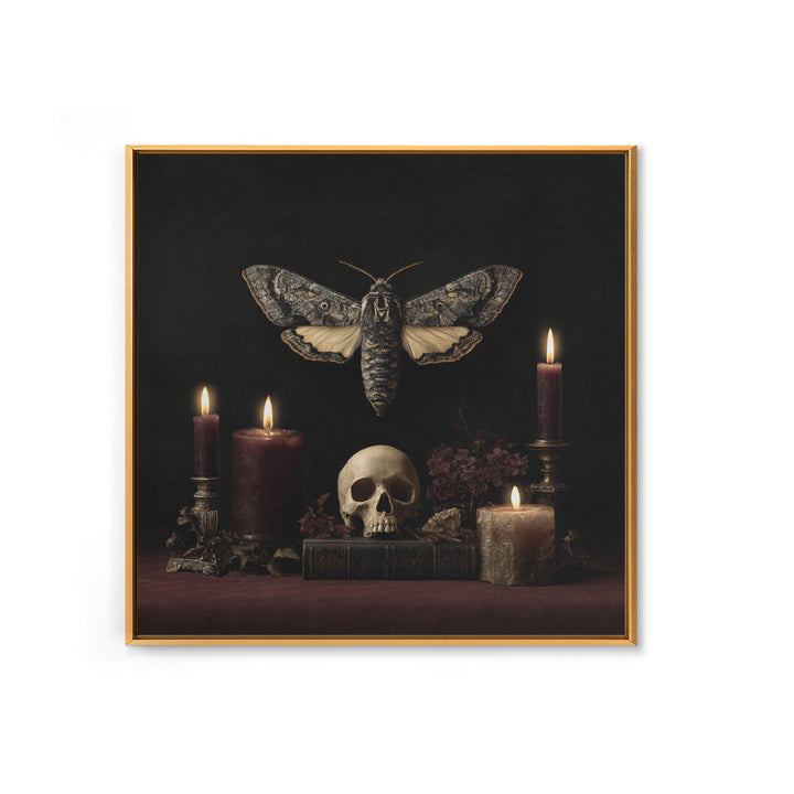 Moth and Skull Composition on Black Velvet Canvas Print, Gothic Art, Canvas Tote Bag, Living Room Decor, Oil Painting, Gothic, GOT-1x1-15