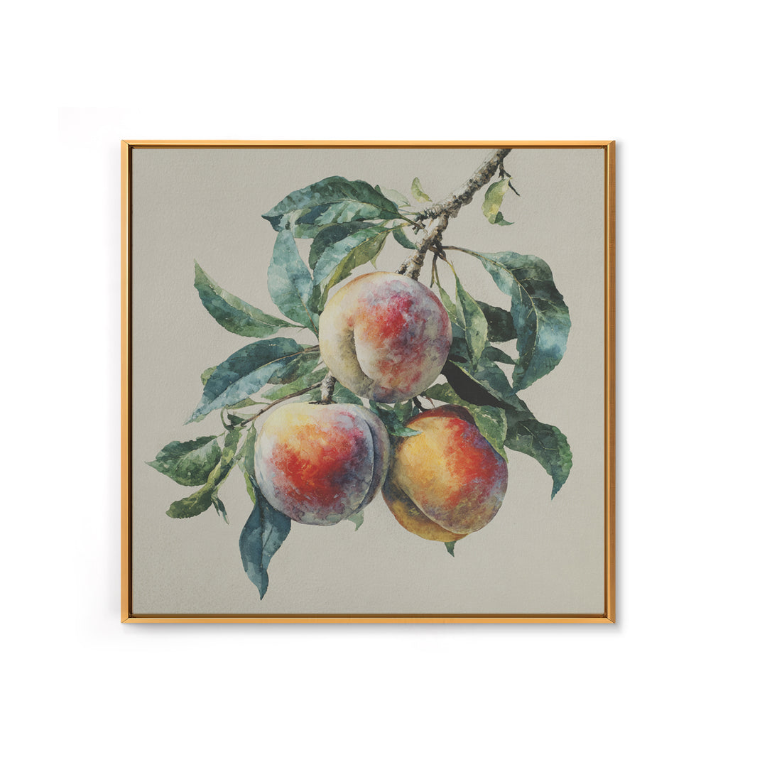 Still Life of Peaches Canvas Print, Impressionist Art, Textured Wall Art, Living Room Decor, Impression, Landscape Painting, IMP-1x1-23