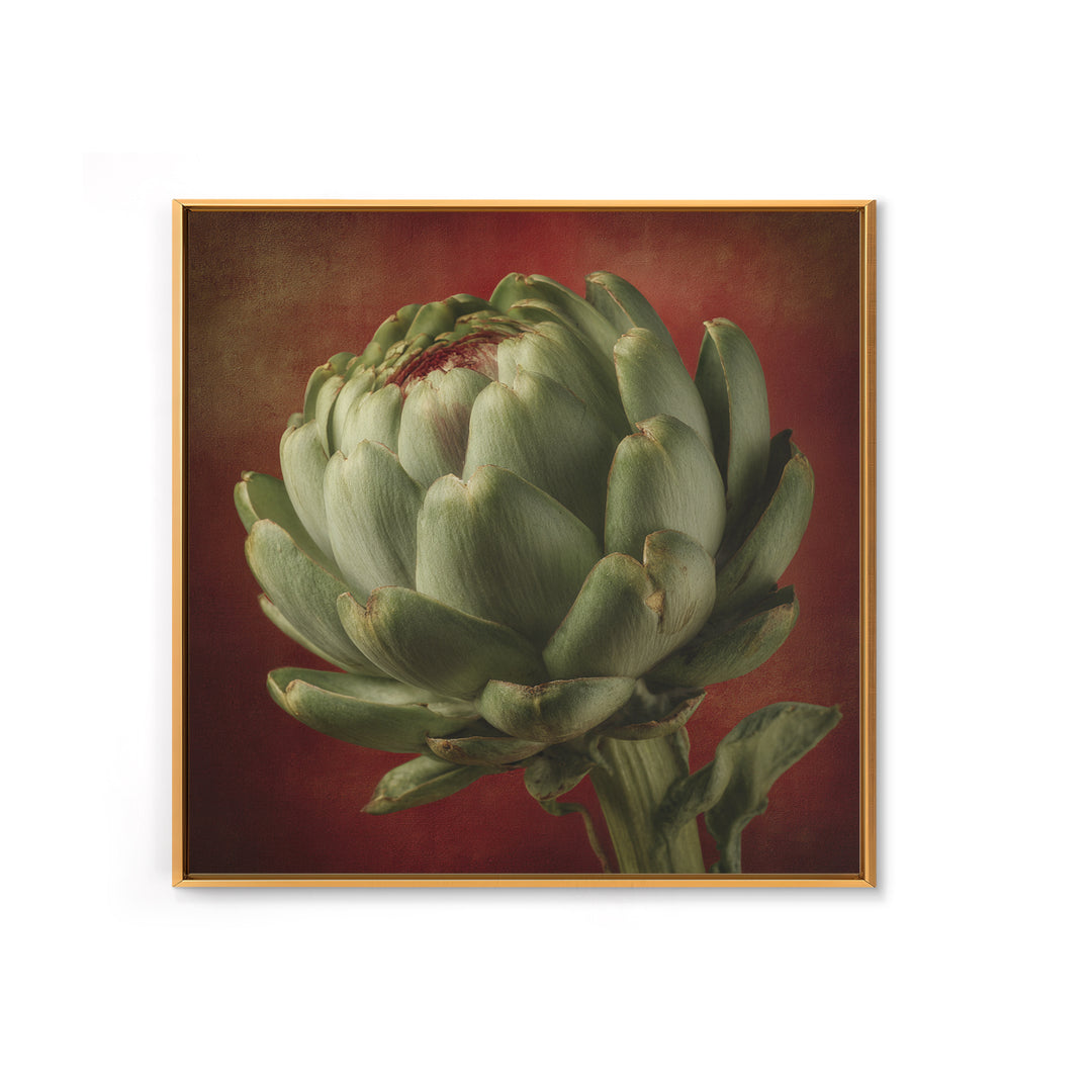 Artichoke Closeup in Painterly Green Tones Canvas Print, Kitchen Art, Prints, Kitchen Decor, Kitchen, Kitchen Wall Decor, KIT-1x1-20