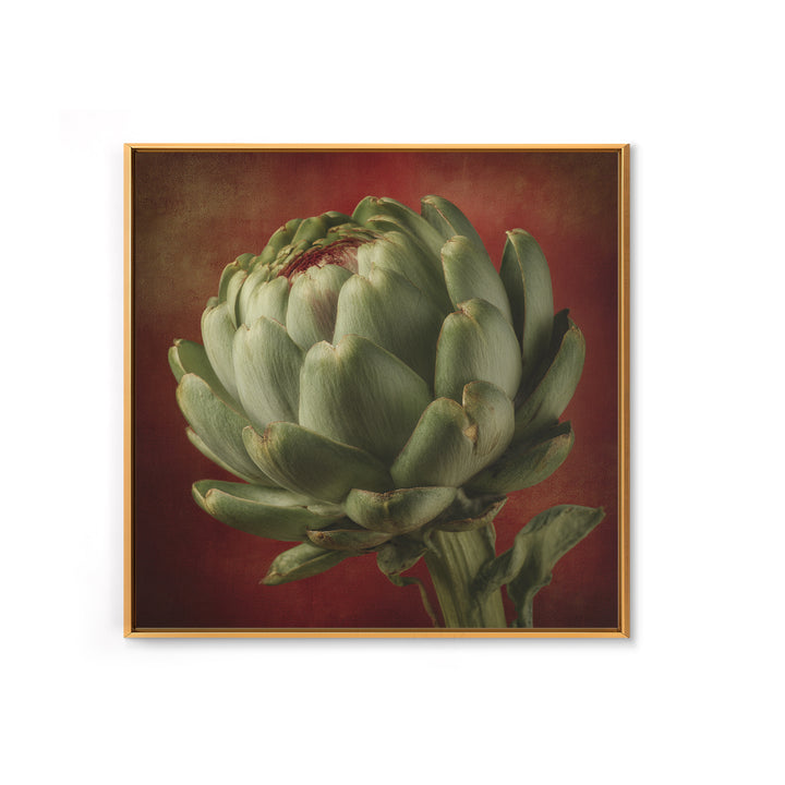 Artichoke Closeup in Painterly Green Tones Canvas Print, Kitchen Art, Prints, Kitchen Decor, Kitchen, Kitchen Wall Decor, KIT-1x1-20