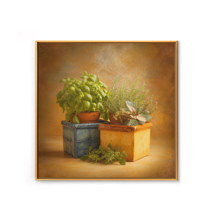 Fresh Herbs in Terracotta Pots Canvas Print, Kitchen Art, Wall Art, Kitchen Decor, Oil Painting, Kitchen, Kitchen Wall Art, KIT-1x1-97