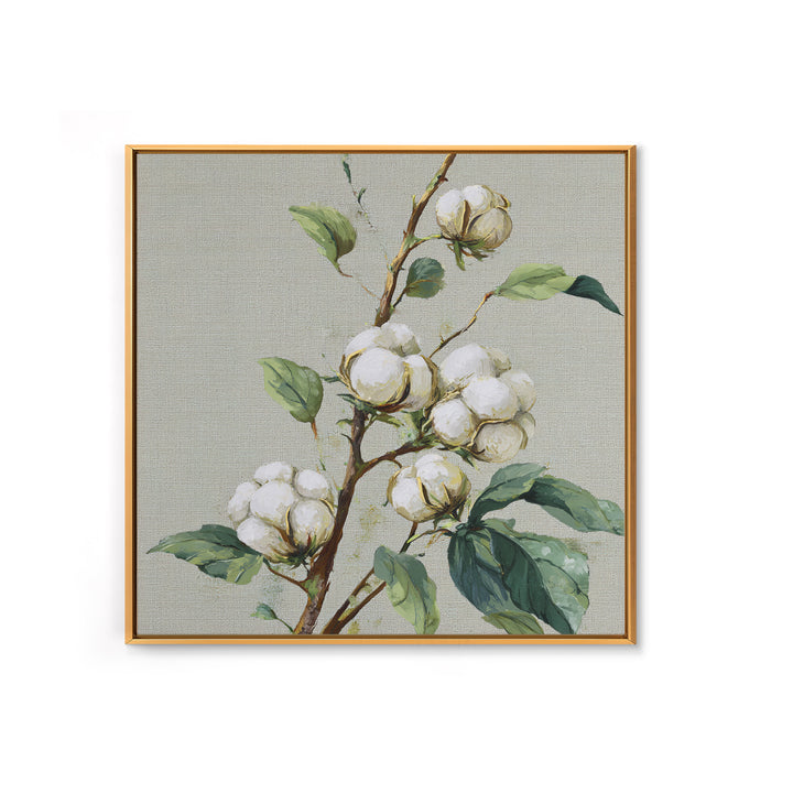 Fresh Cotton Branch Botanical Study Framed Canvas Print, Laundry Room Art, Fine Art Print, Living Room Decor, Fine Art, Clean, LRA-1x1-79