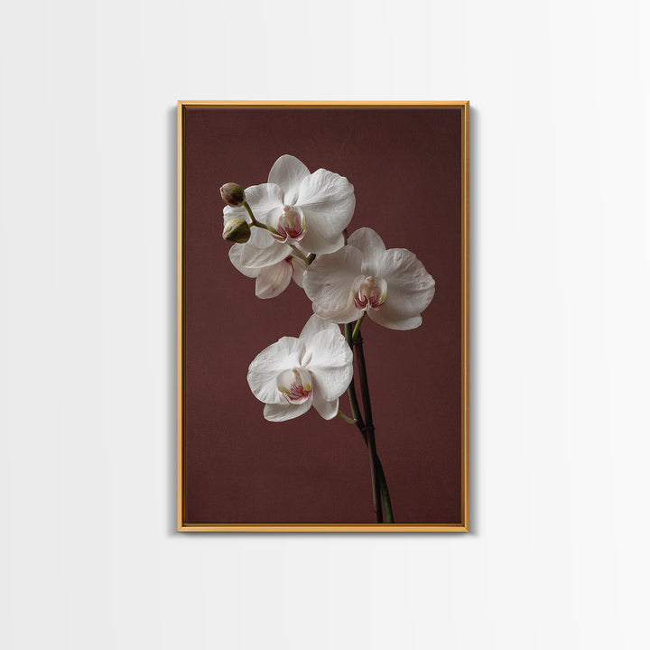 White Orchids Against Warm Gray Background Framed Canvas Print, Master Bedroom, Canvas Print, Bedroom Decor, Abstract Art, MAS-2x3-17