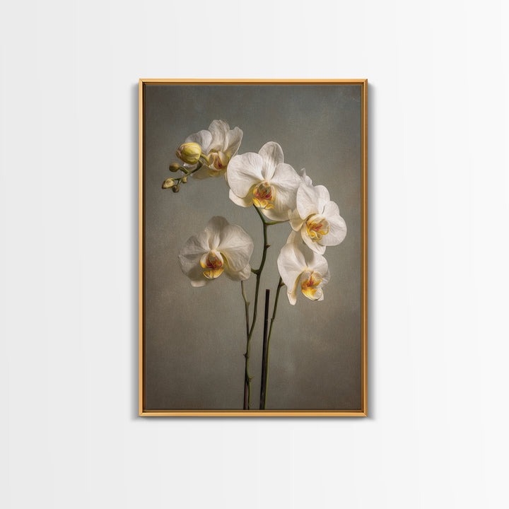 White Orchids Against Warm Gray Background Canvas Print, Master Bedroom, Farmhouse Wall Art, Bedroom Decor, Fine Art, Sanctuary, MAS-2x3-65